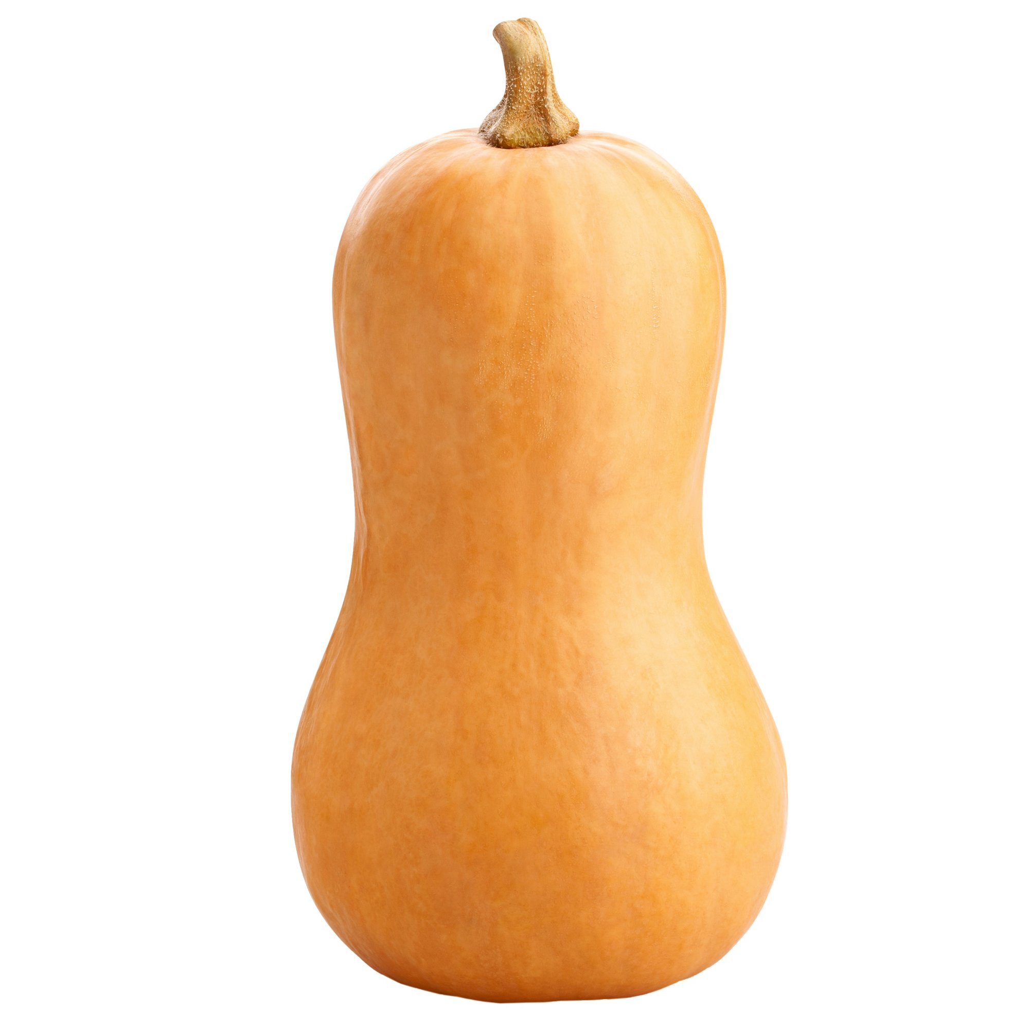 BUTTER NUT (APPROX- 500G-600G )