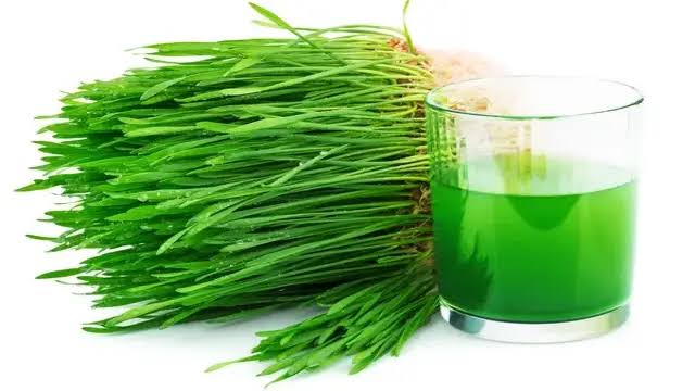 Chives  ( WHEATGRASS)- 300G