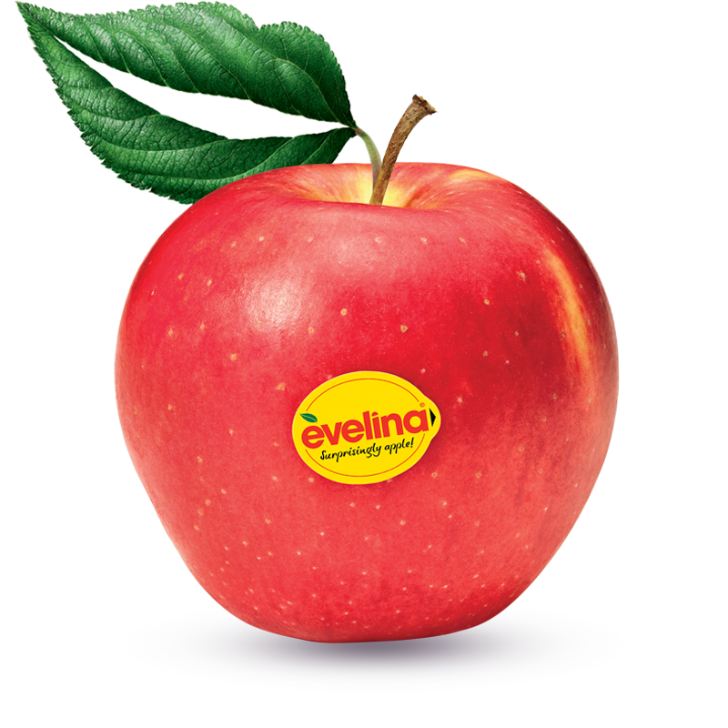 APPLE BELGIUM - (400-500 GMS)