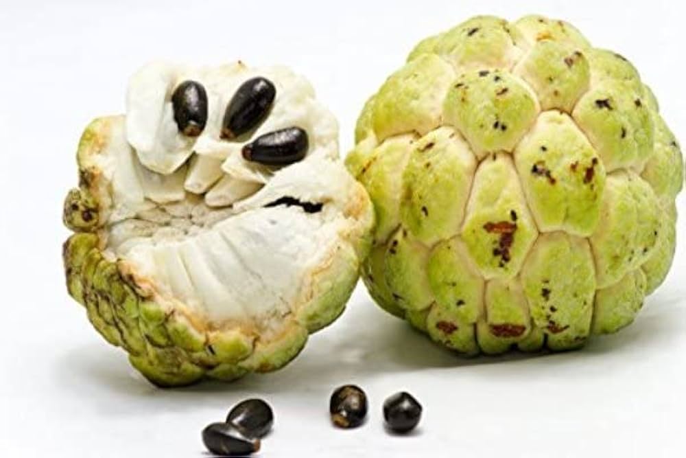 Custard Apple Golden (500GM-600GM)