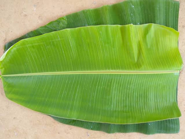 BANANA LEAF