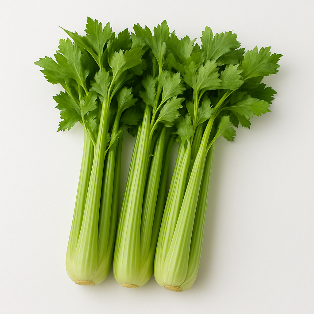 CELERY A GRADE  250-300GM