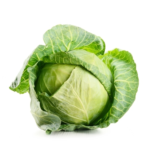 CABBAGE – 1pc(approx. 550g -700g)