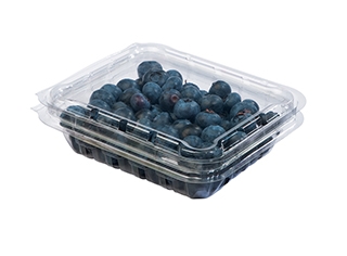 BLUEBERRY 125GM PKT - (BUY 1 GET 1)