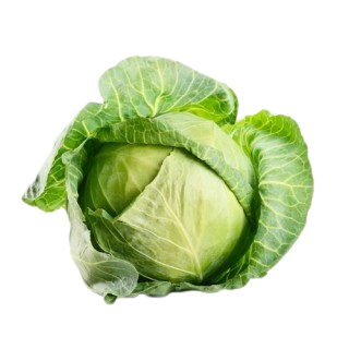 CABBAGE - 1pc(approx. 550g -700g)