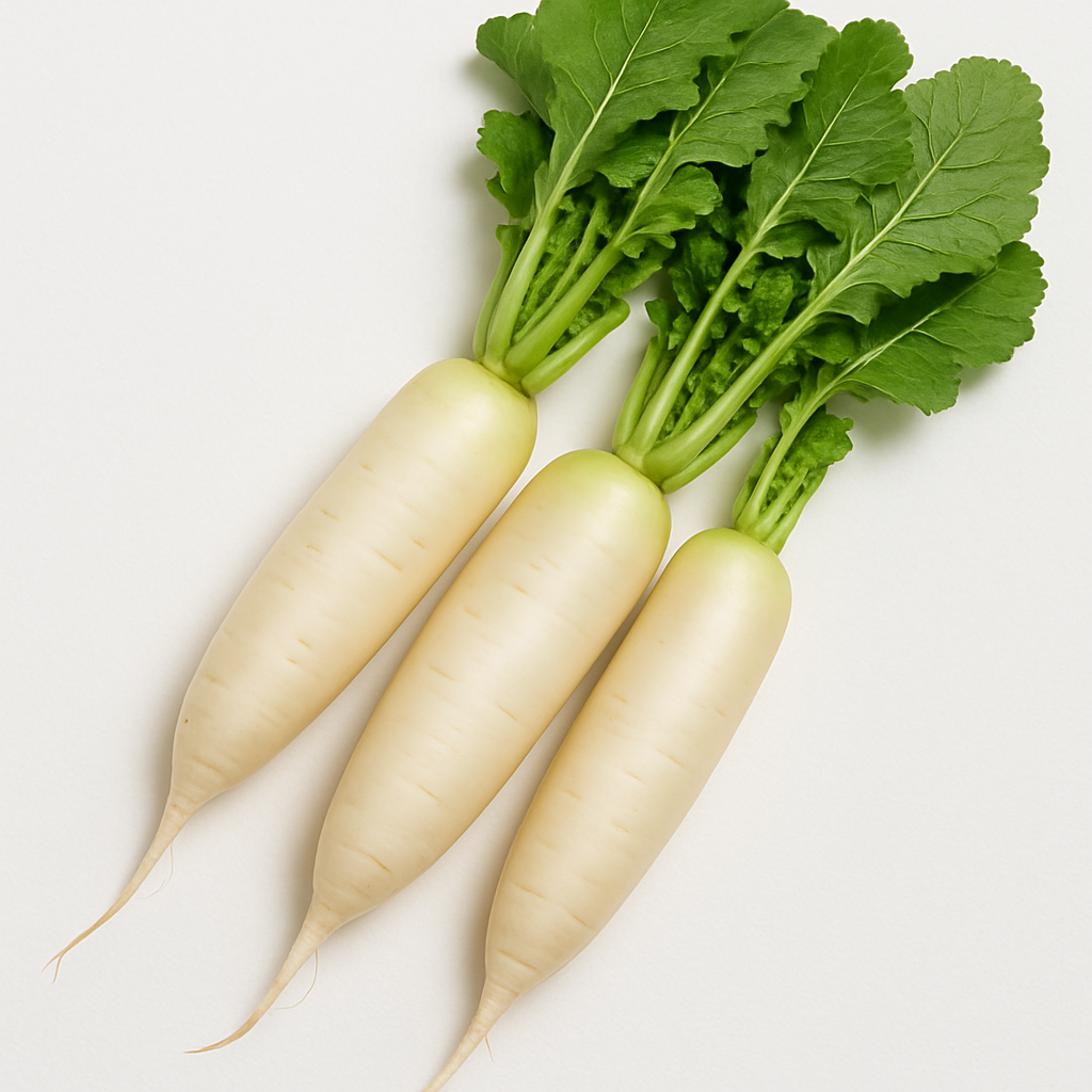 RADISH A GRADE  450-560GM