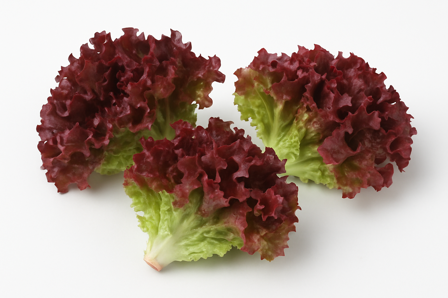 RED SALAD A GRADE   220-250GM