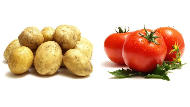 1kg Tomato H+ 1kg Potato