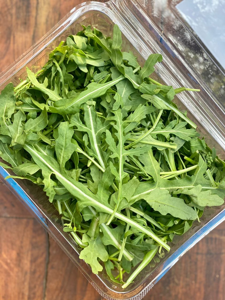 ROCKET LEAF PKT