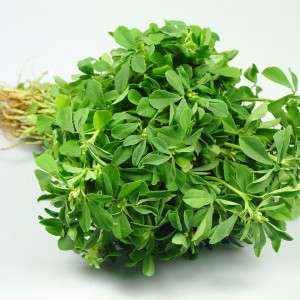 FRESH KASURI METHI - (150-200GMS)
