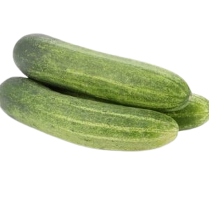 CUCUMBER MALINI - (800g - 1kg)
