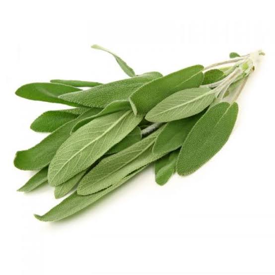 SAGE- 1 PKT