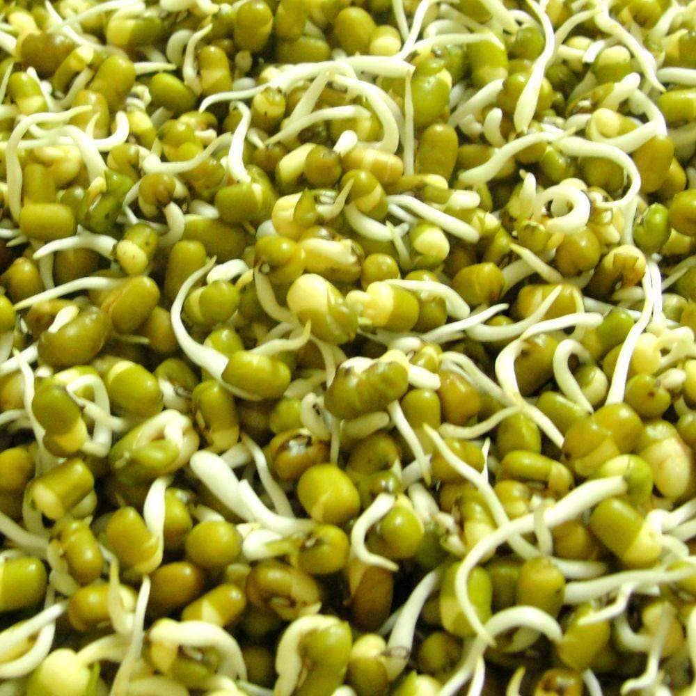 MOONG SPROUT PKT