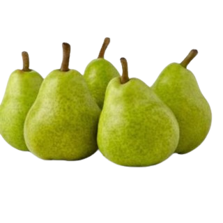 PEAR  NASPATI - 550GM - 600GM