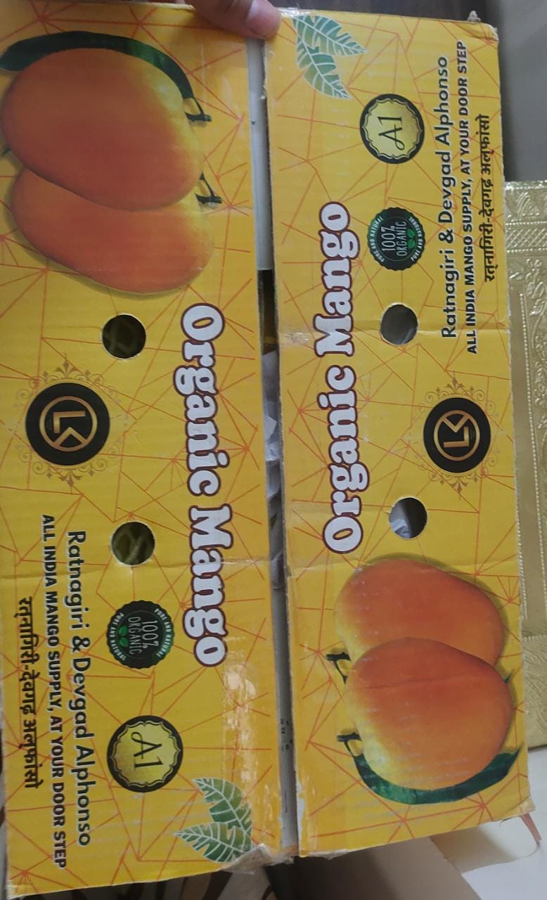 ALPHONSO MANGO RATNAGIRI (12 pcs)