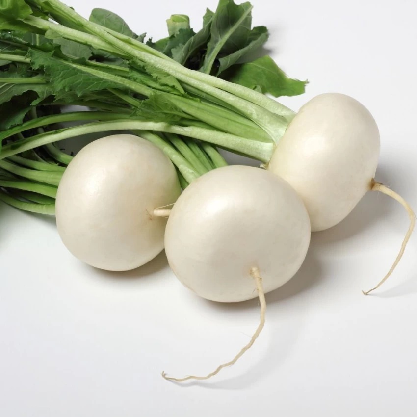 White Radish Round 450 g to 500g