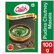 Pudina Chutney Masala 100 gm