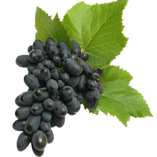 BLACK GRAPES(LOOSE) -450GM - 500GM