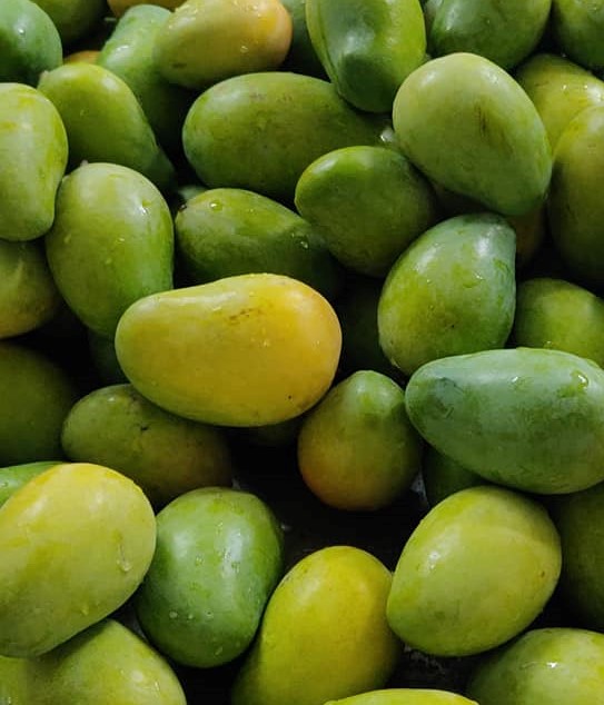 MANGO AMARPALI (1 KG)