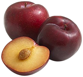 PLUM INDIAN 1 PKT